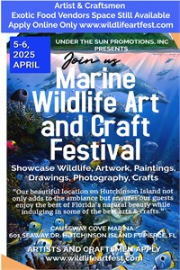 Why the Marine Wildlife Art Festival is a Must-Attend Event in 2025